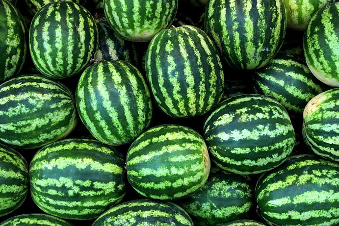 НАУКА=БИЗНЕС НАУКА=БИЗНЕС